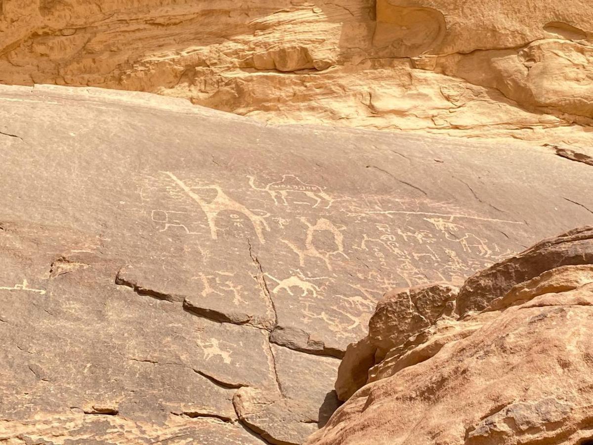 Wadi Rum Maracana Camp ภายนอก รูปภาพ
